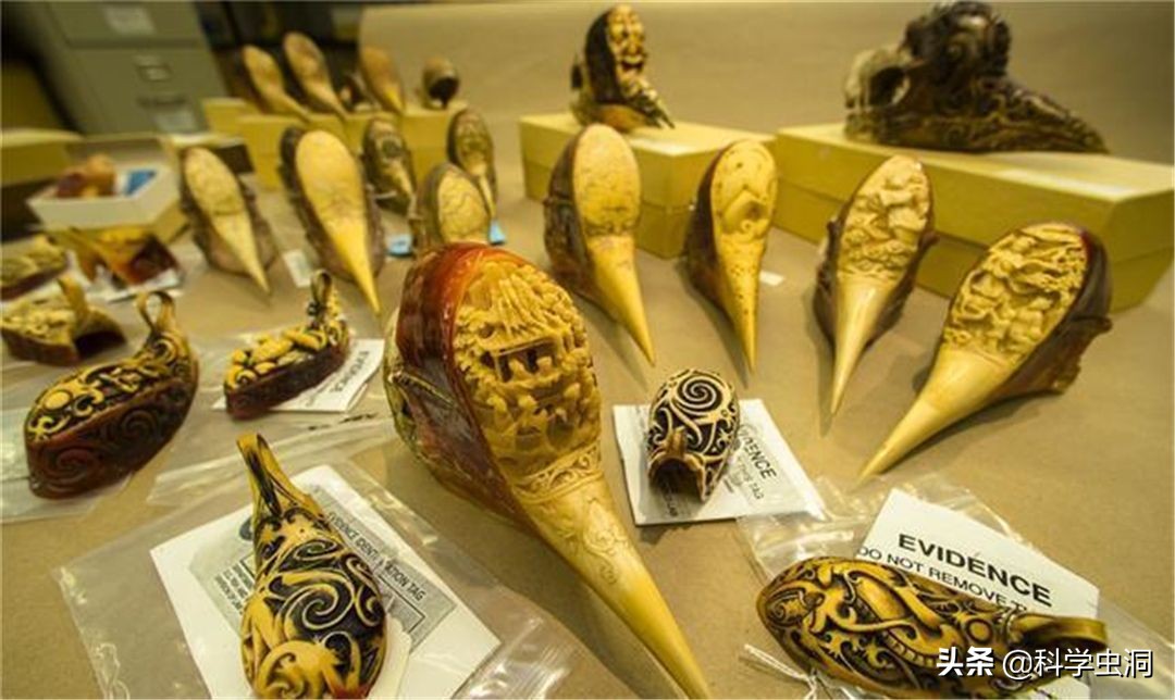 天津一女子买鸟头吊坠被判刑10年,天津女子购买吊坠