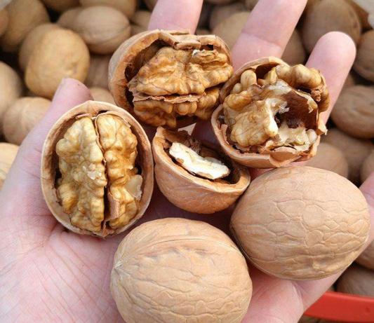 过年必买的干果6样,干果花生瓜子炒货