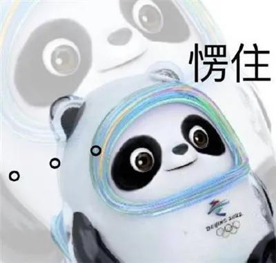 冰墩墩被骗追回,冰墩墩被骗20万