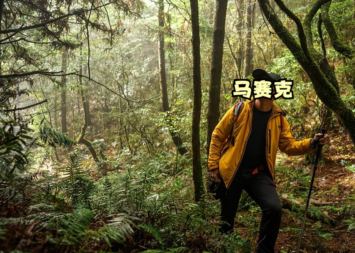 山系户外棉服推荐,始祖鸟和山浩哪个好
