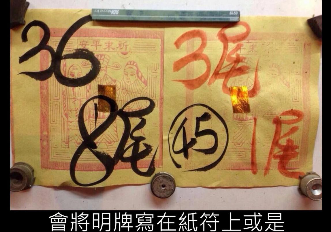 台湾脱衣舞娘，都接什么活儿