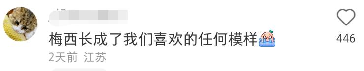 梅西撞脸卡通人物,梅西看到撞脸小罗