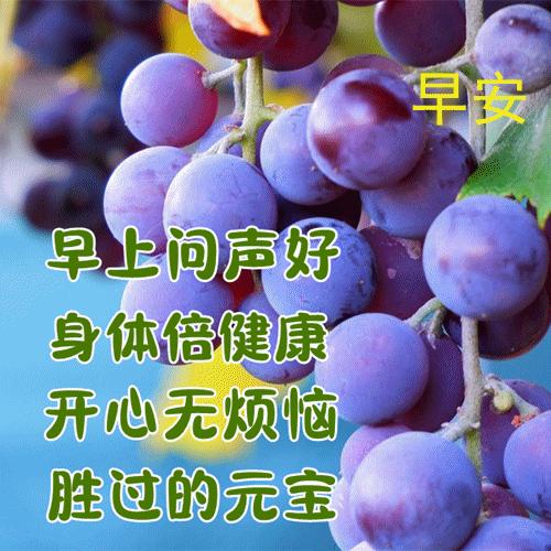 九月早上祝福,九月九早上好的祝福视频