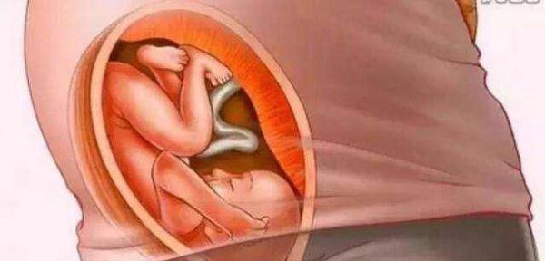 母爱伟大！十张图带你看胎儿成长的壮丽过程