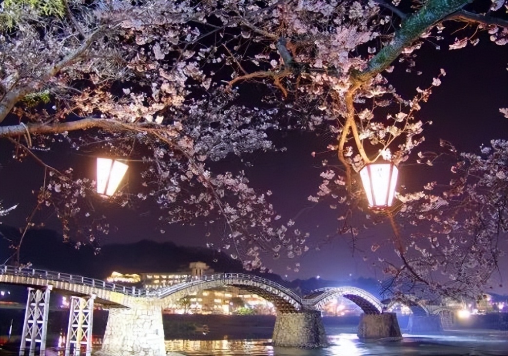 2023日本樱花什么时候开花,2023年日本樱花开放预测