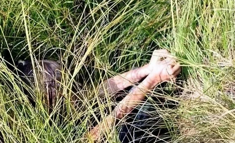 2岁儿童和狗失踪找到了吗,三岁女孩与狗狗一起失踪