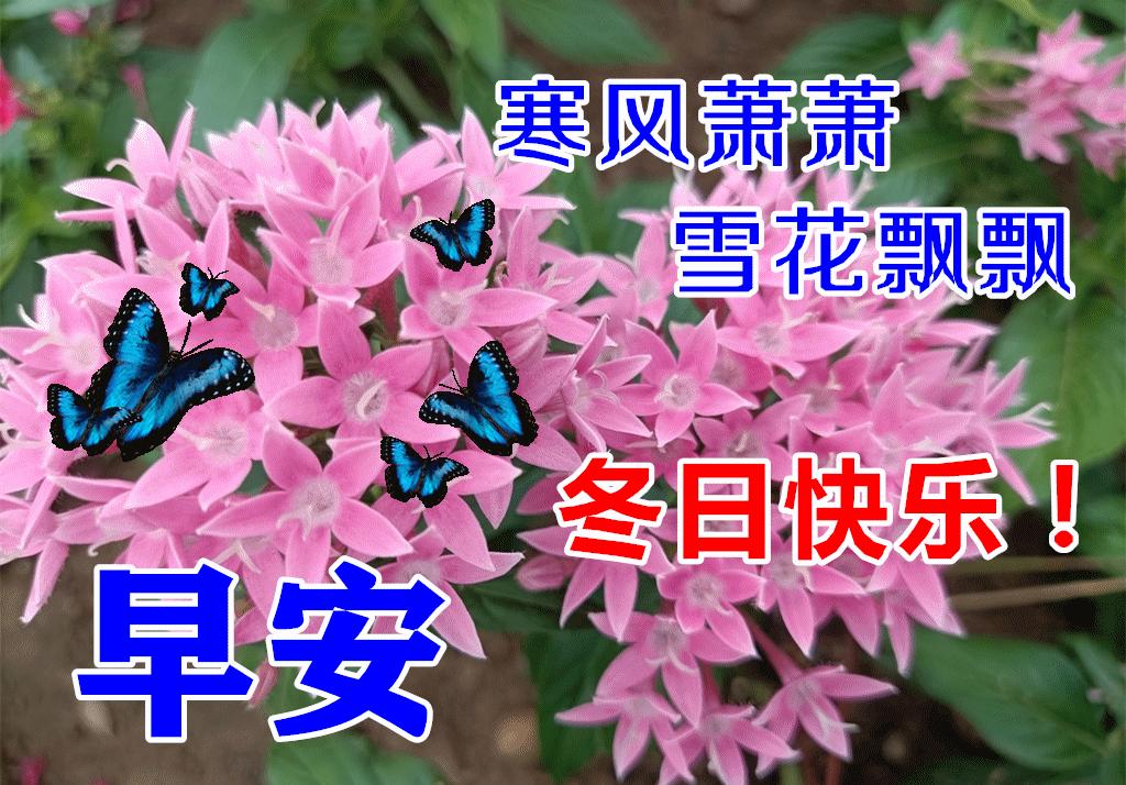 早晨阳光表情图片,秋季清晨非常漂亮早上好表情图片