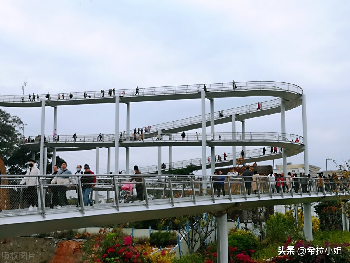 为啥会喜欢厦门,你为什么爱上厦门