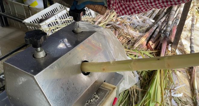 春节备用四种吉利水果,大年必备的十种水果有哪些