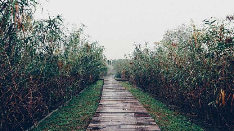 西安到湖南自驾游景点推荐,西安到蜀南竹海自驾游沿途景点