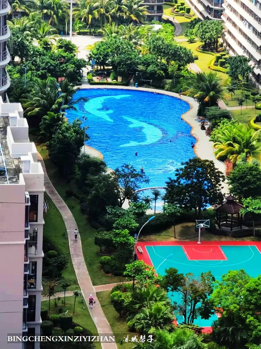 旅居海南：九所新区的浪漫情