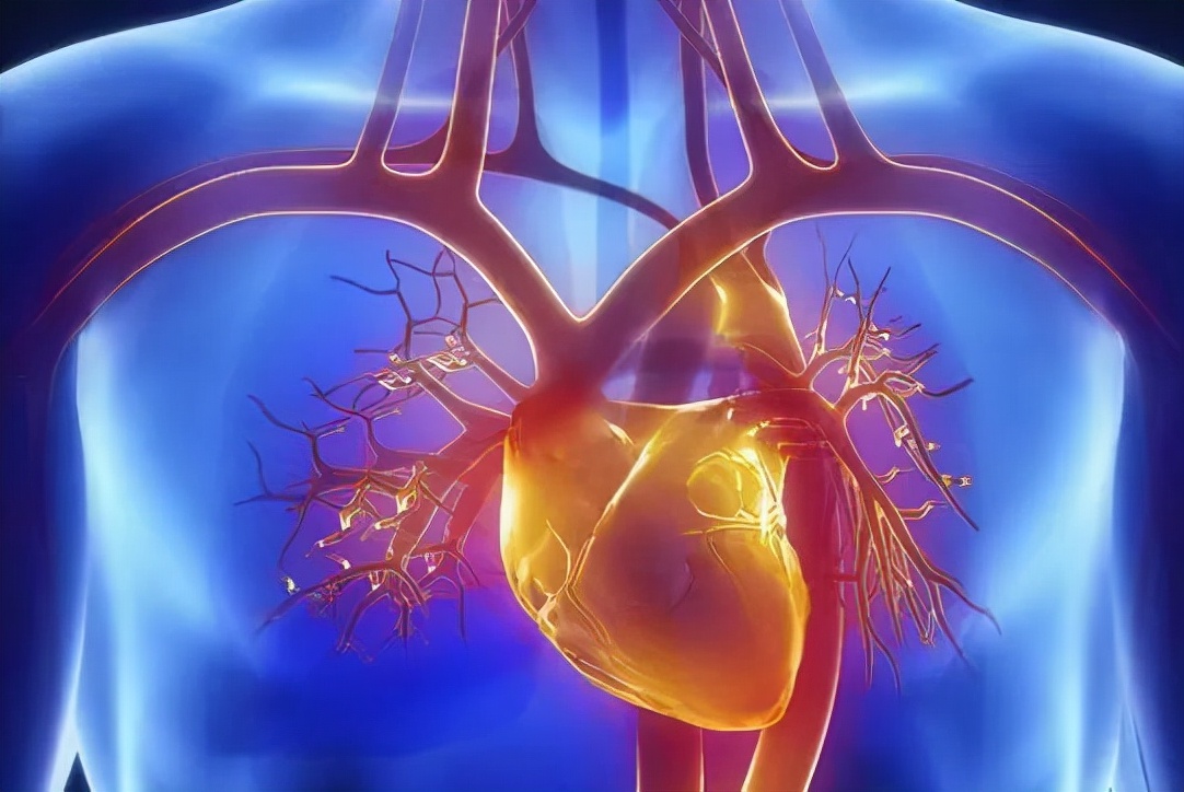 冠脉造影几类人不能做,冠脉造影之后的注意事项