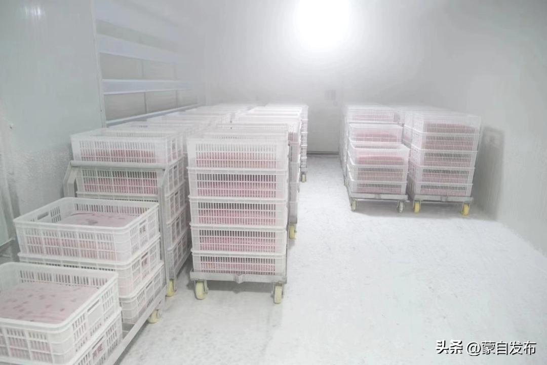 蒙自绿籽石榴好吃吗,蒙自石榴好吃还是突尼斯软籽好吃