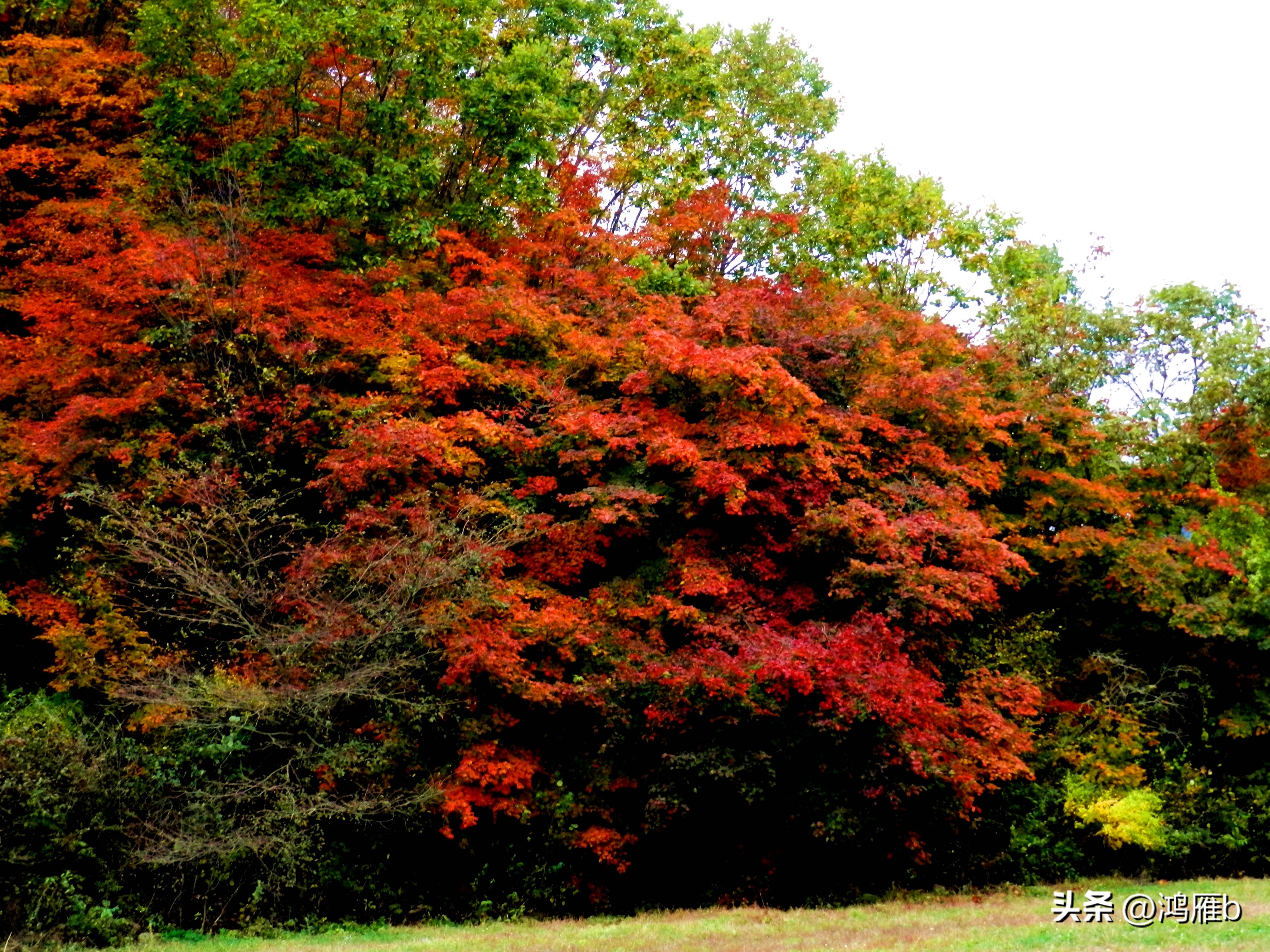 本溪温泉汤沟门票价格,本溪花溪沐枫雪温泉小镇