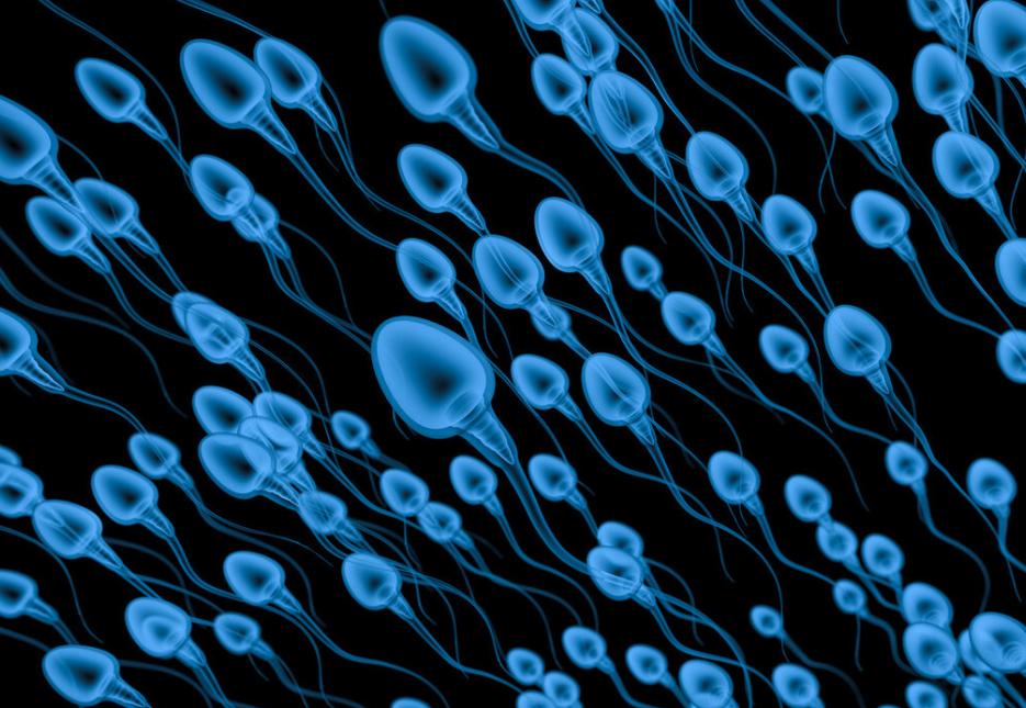 让男人瑟瑟发抖的精尽人亡是真实存在的吗？医生道出实情