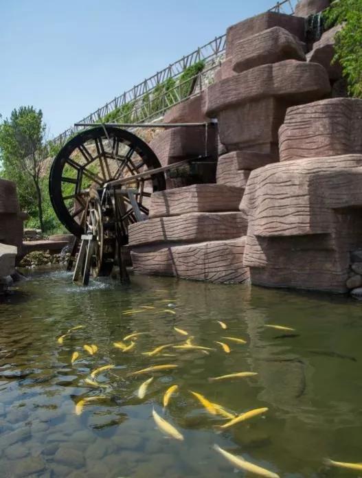 散文：淄博式《佳宁烧烤》整装待发