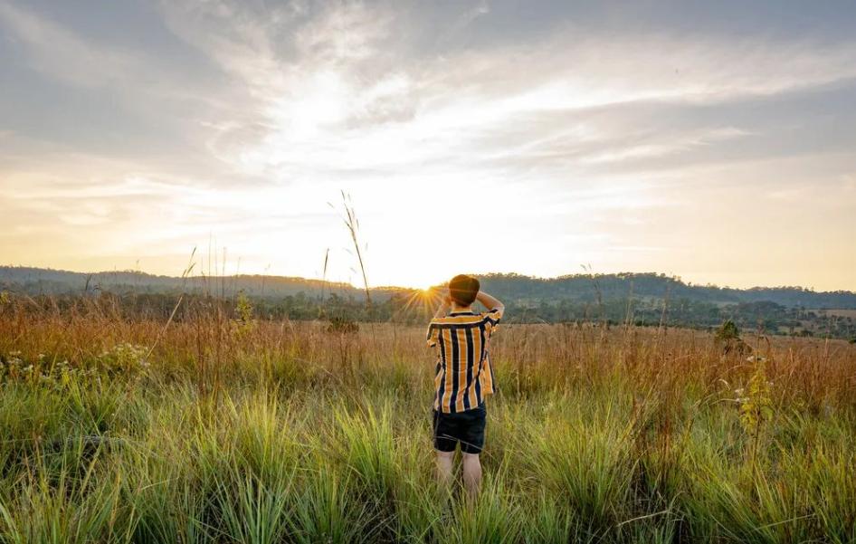 原来这就是吸引力定律,企鹅定律是什么