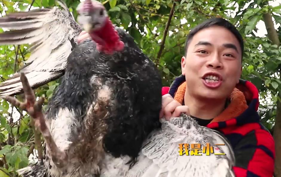 歪厨子余小二央视,歪厨子余小二靠啥爆火