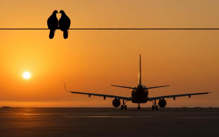 飞机上可以随便要什么东西,飞机上这五样东西是免费的