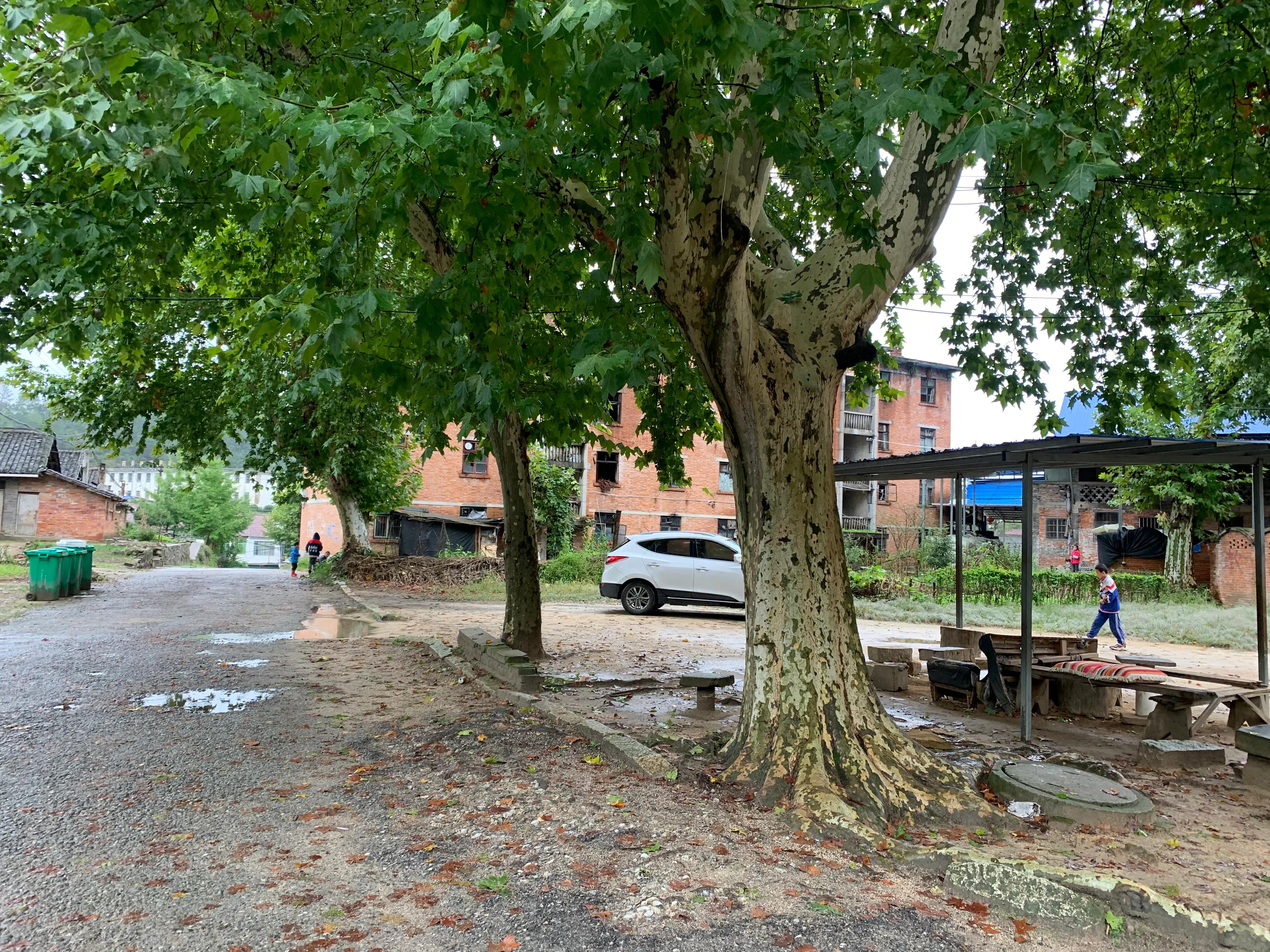 探访赣深铁路建设者,探访三线建设之纳溪