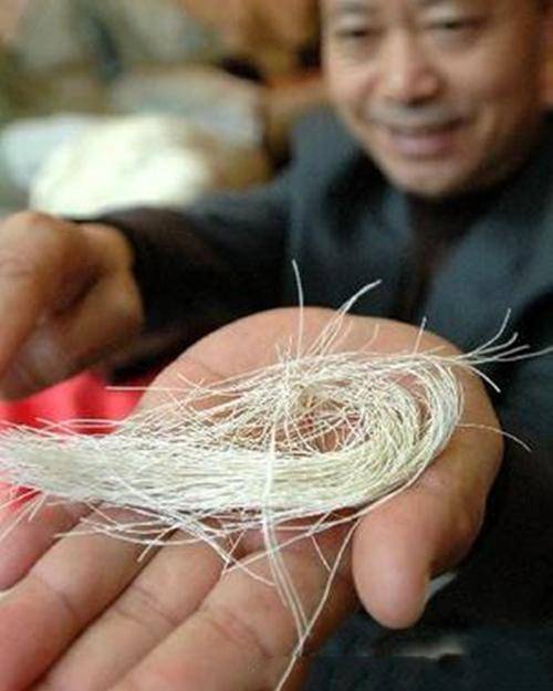 捡到一块石头居然是传说中的生物,村民捡到有耳有眼的神秘石头