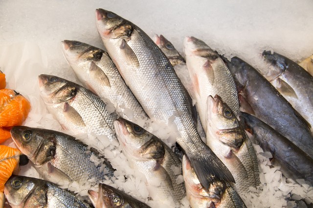 南方冬季野钓什么窝料效果好,冬季野钓罗非鱼饵料配方南方