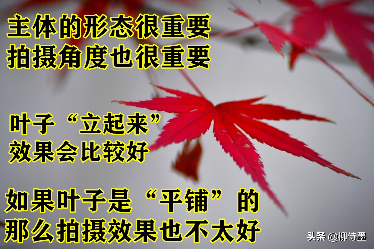 照片拍出来难看怎么修图,照片不能瞎拍