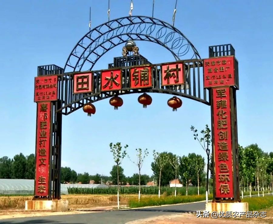 “卜”同凡响的田水铺萝卜