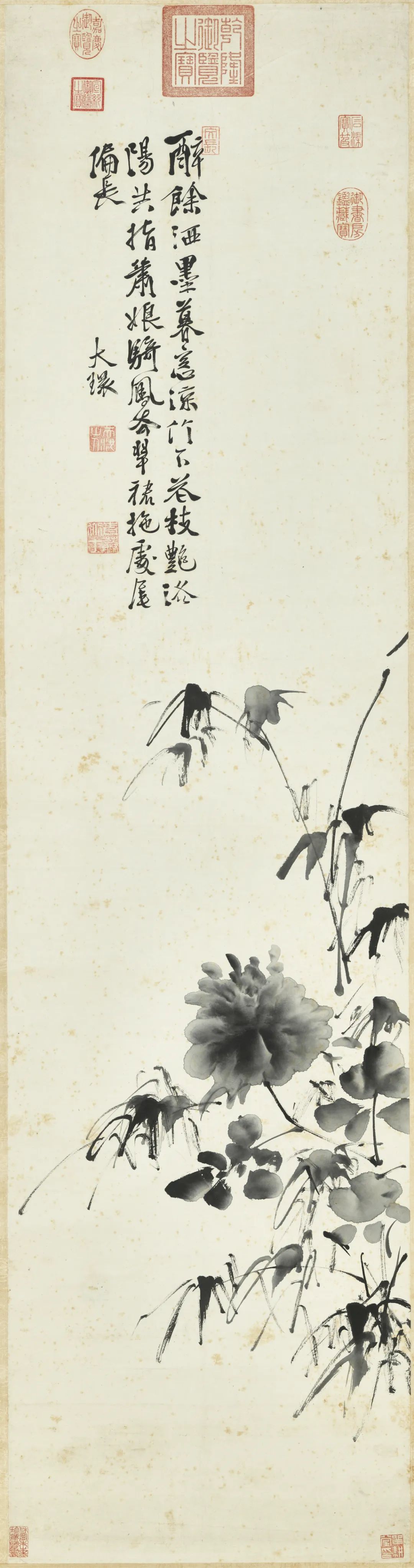 慕容看世界的视频,慕容看世界所有视频