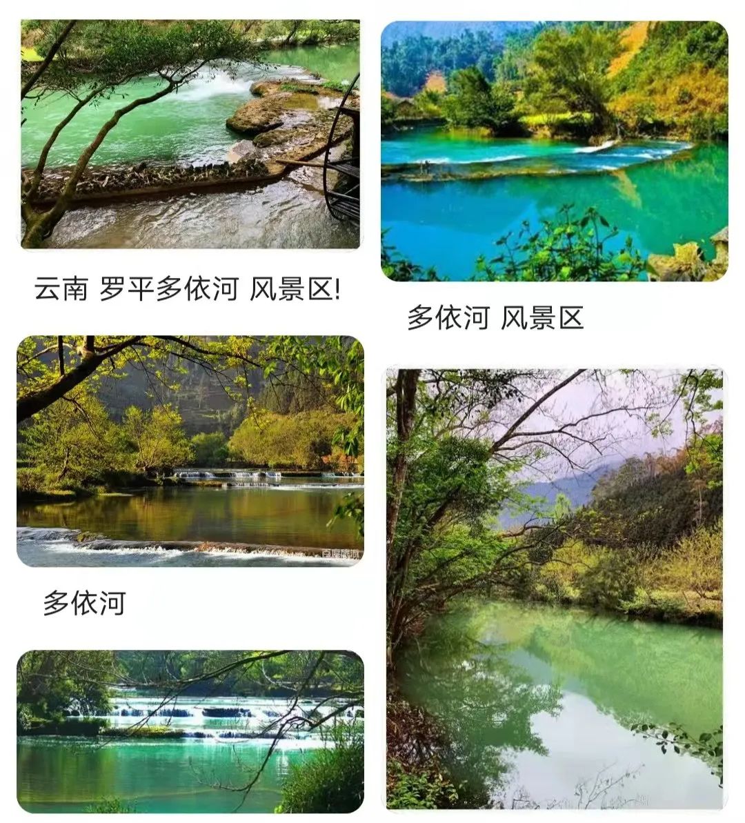 云南贵州哪个地方更适合夏季旅游,为什么避暑要去贵州旅游