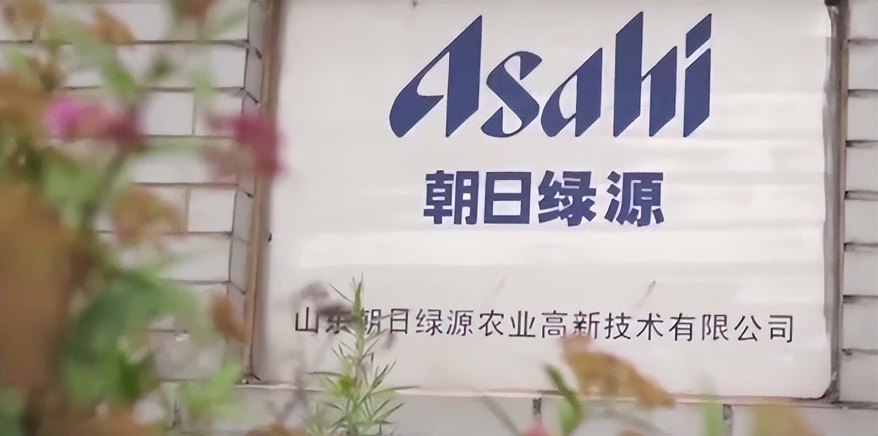 2006年日企在中国租1500亩地，5年不种庄稼，项目最后入不敷出