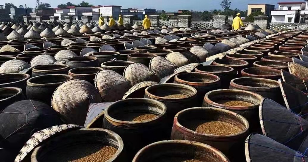 广东水禾豆酱油测评,正宗广东美味鲜酱油