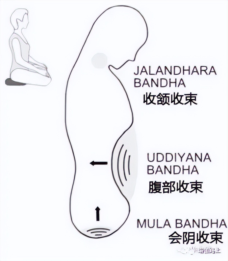 练瑜伽「启动会阴收束」身体就轻盈了，一定要掌握的技巧！