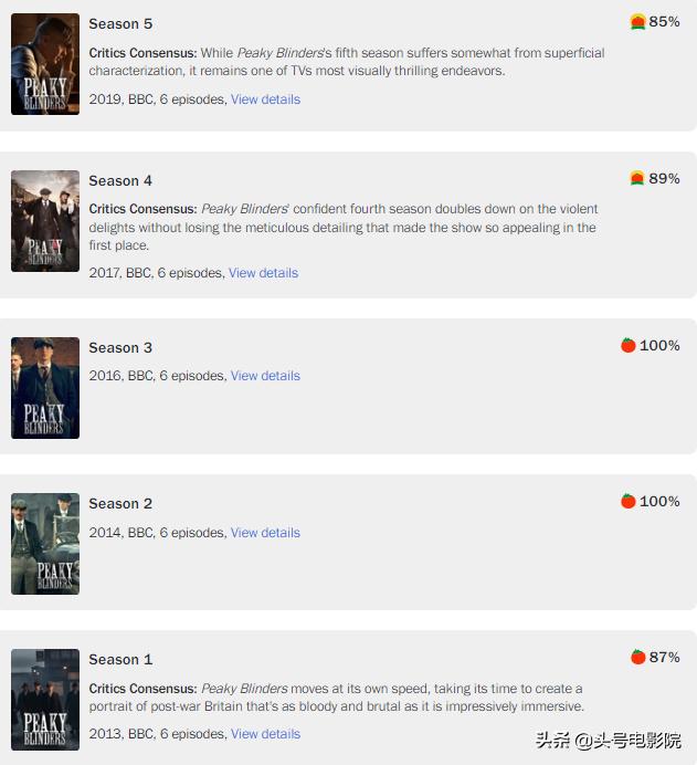 美剧浴血黑帮解说9.0以上评分,浴血黑帮第一季深度解析