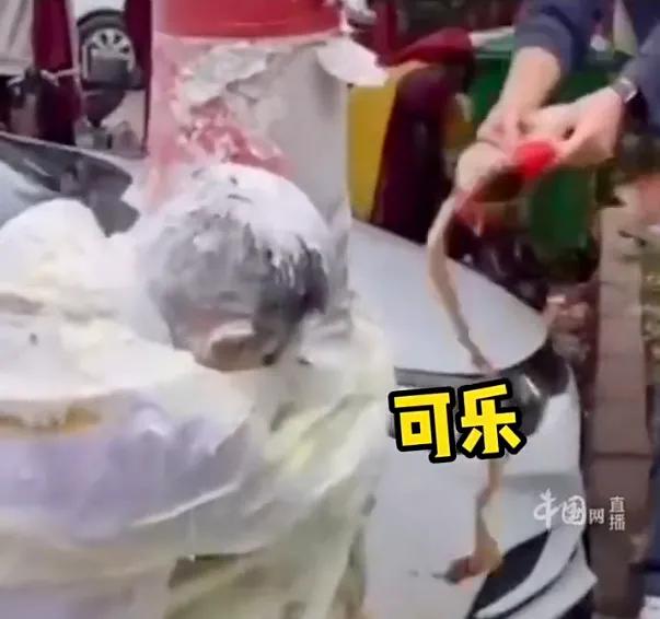 伴娘被新郎性侵案件,海南伴娘新娘遭非礼事件判刑