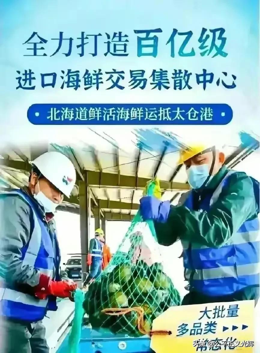 进口日本海鲜的是哪个公司,中国公司进口日本海鲜