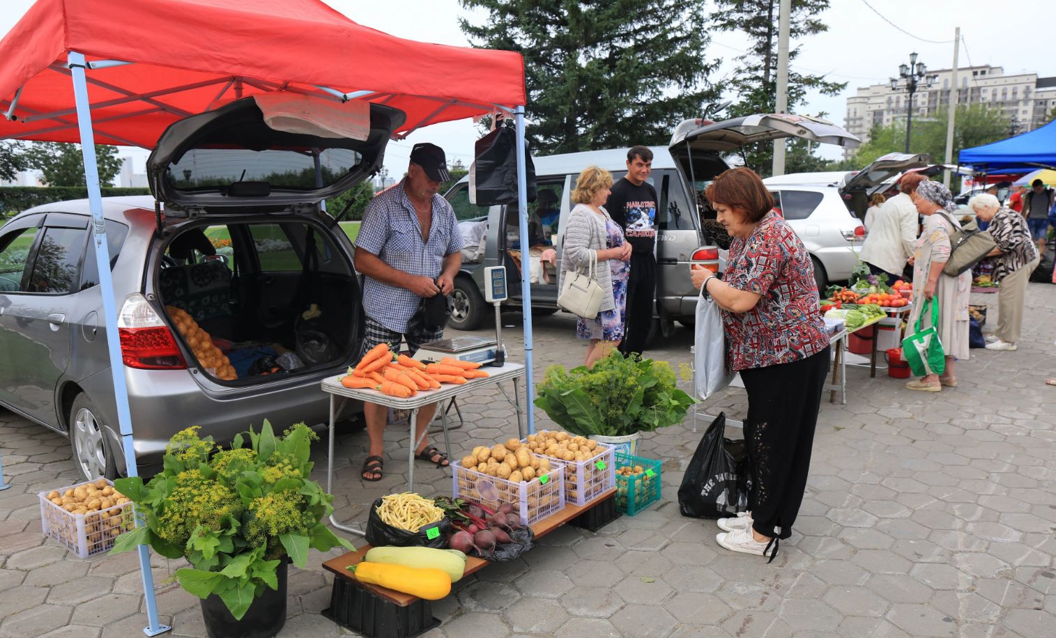 中国商人在俄罗斯负债累累,只能从摆地摊、开豆腐坊重新做起