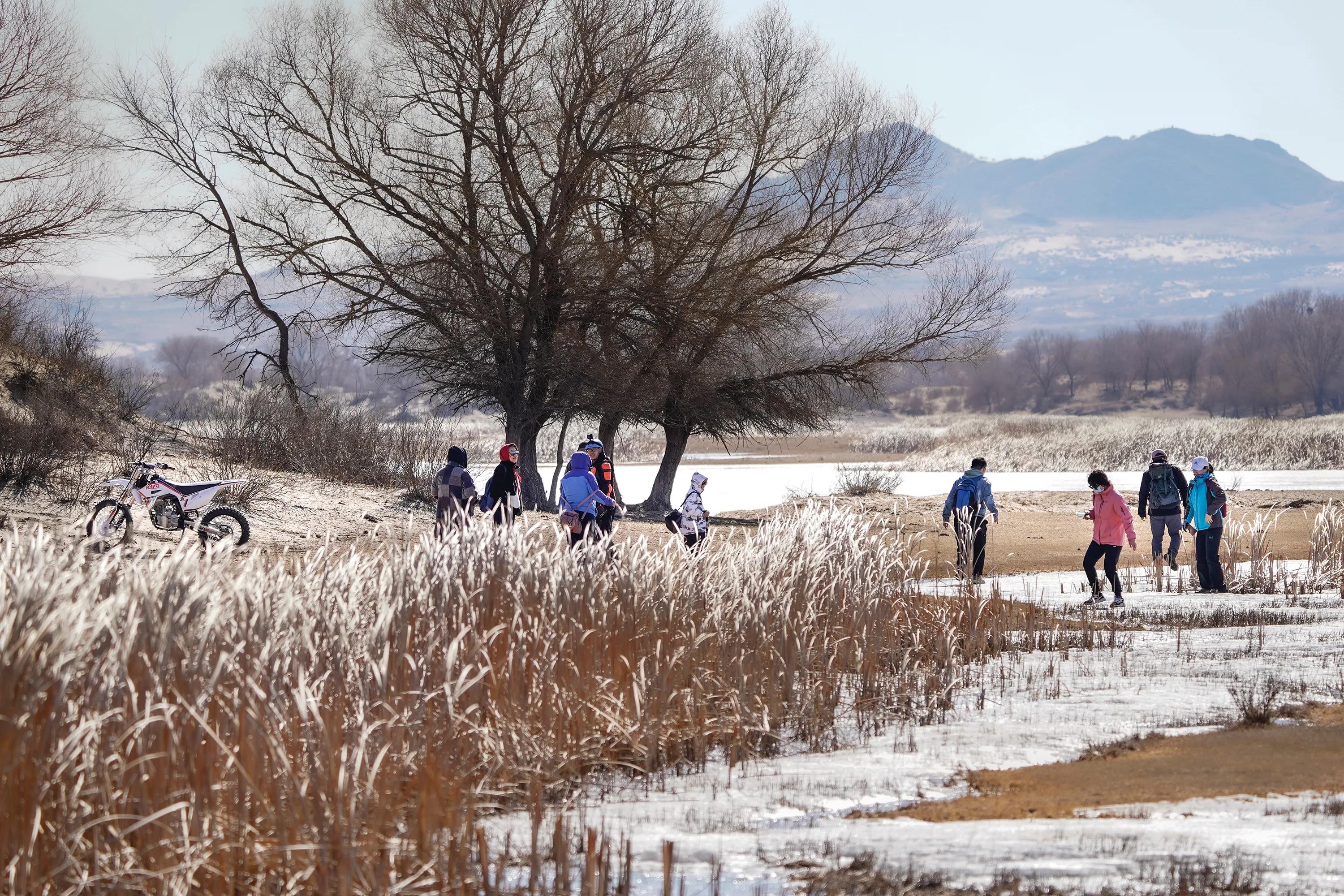 闃挎棩瀹濆埄鏍兼梾娓稿尯,闃挎棩瀹濆姏鏍兼箹