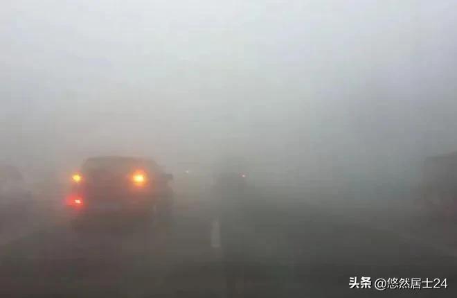 春行万里合集,春行新湖绿城