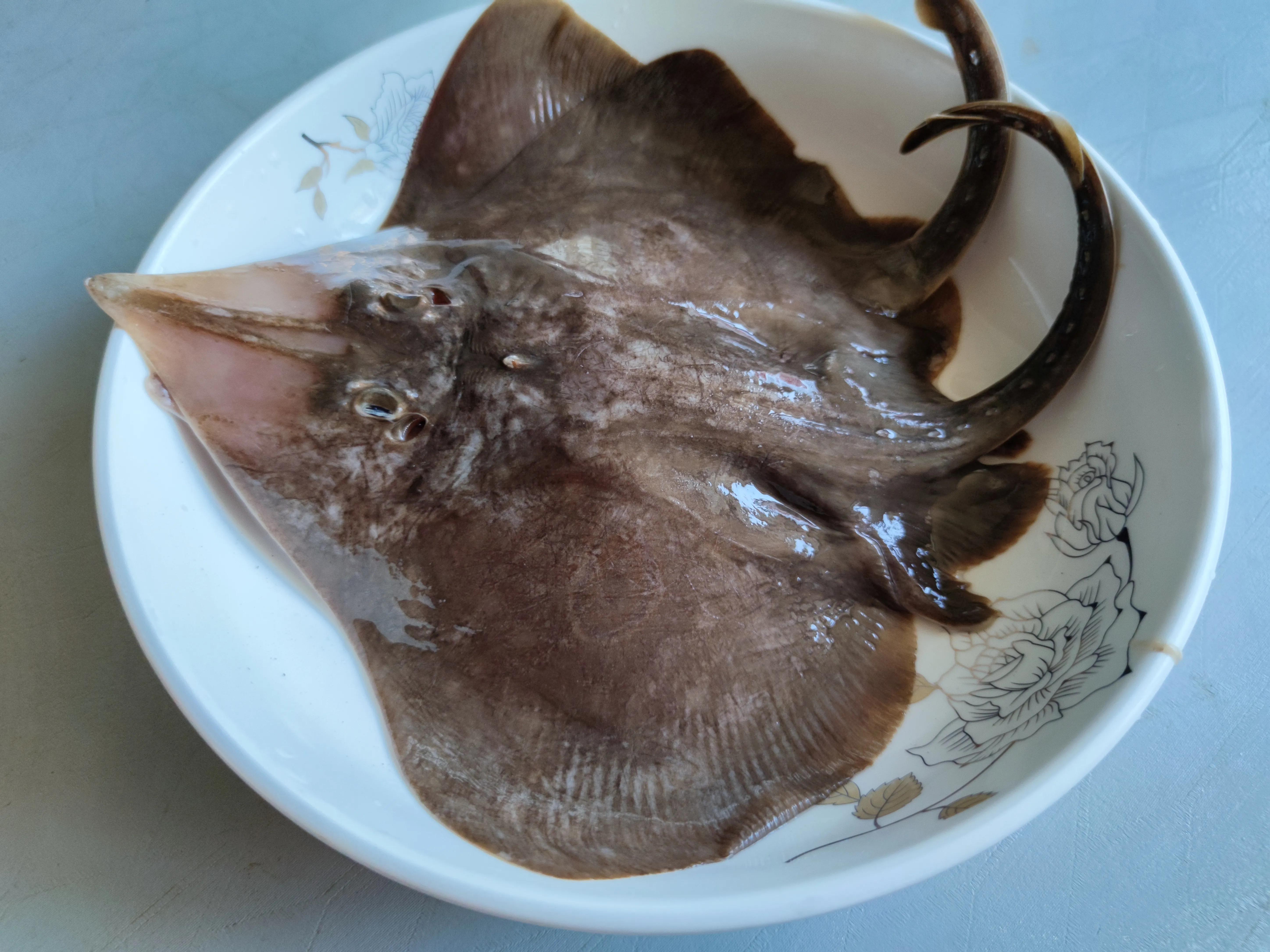 五一前什么海鱼最肥美?这8种都是正宗无养殖的，再不吃可要封海了