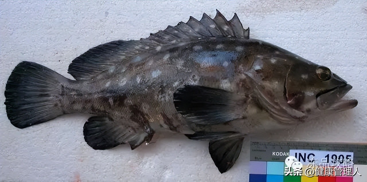 美容护肤食疗方案,美容护肤养生介绍