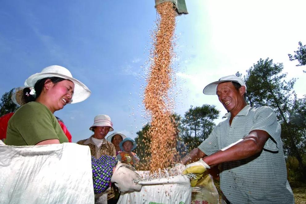 在城市3个人的活5个人干就业制度,对工作效率消极影响不言而喻