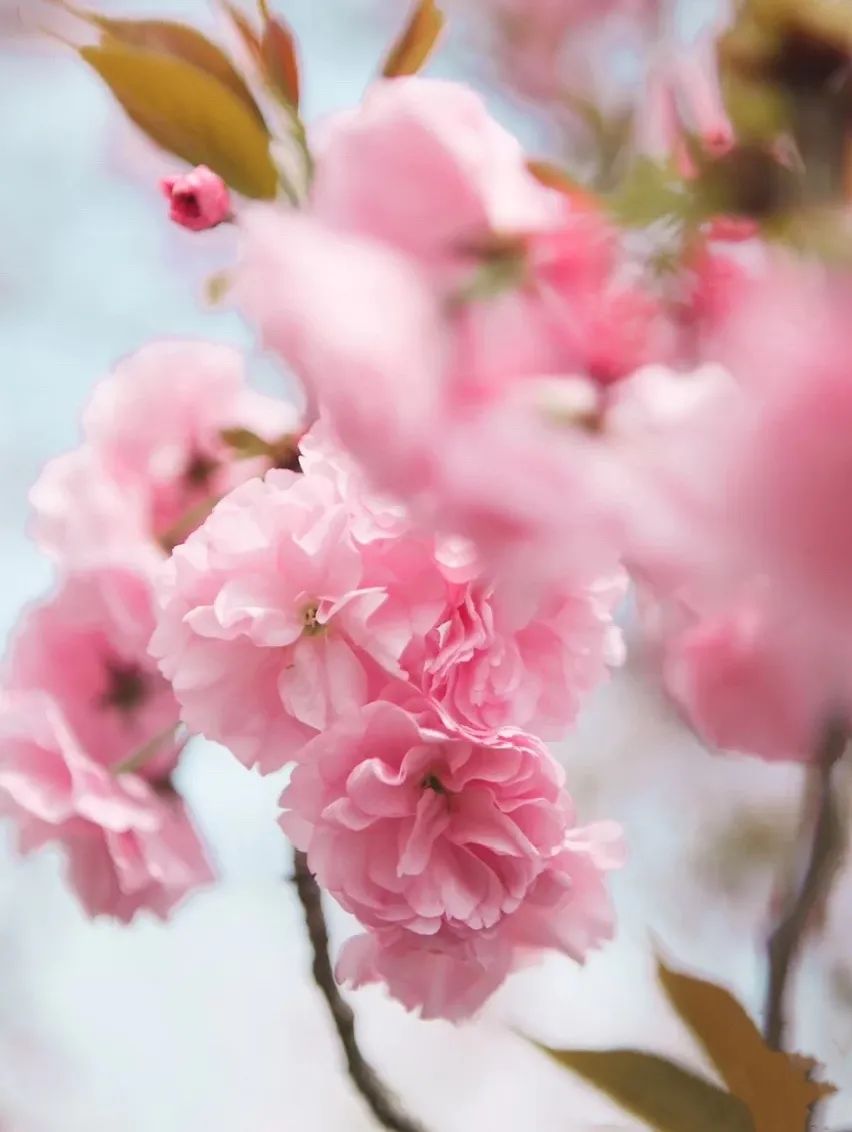 港剧那些年追过的剧,好港