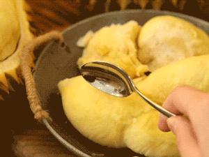 榴莲种类及上市时间,金枕榴莲和报恩榴莲