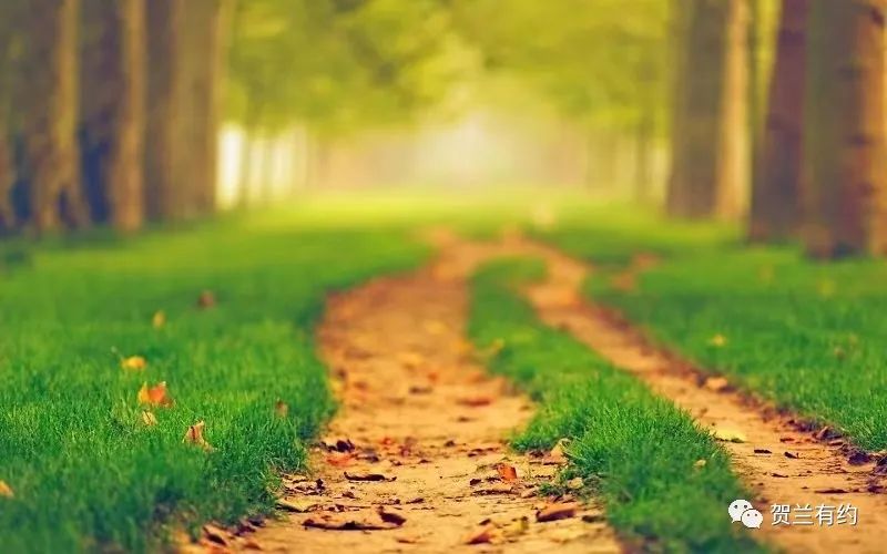 既见君子云胡不喜作品,既见君子云胡不喜全诗