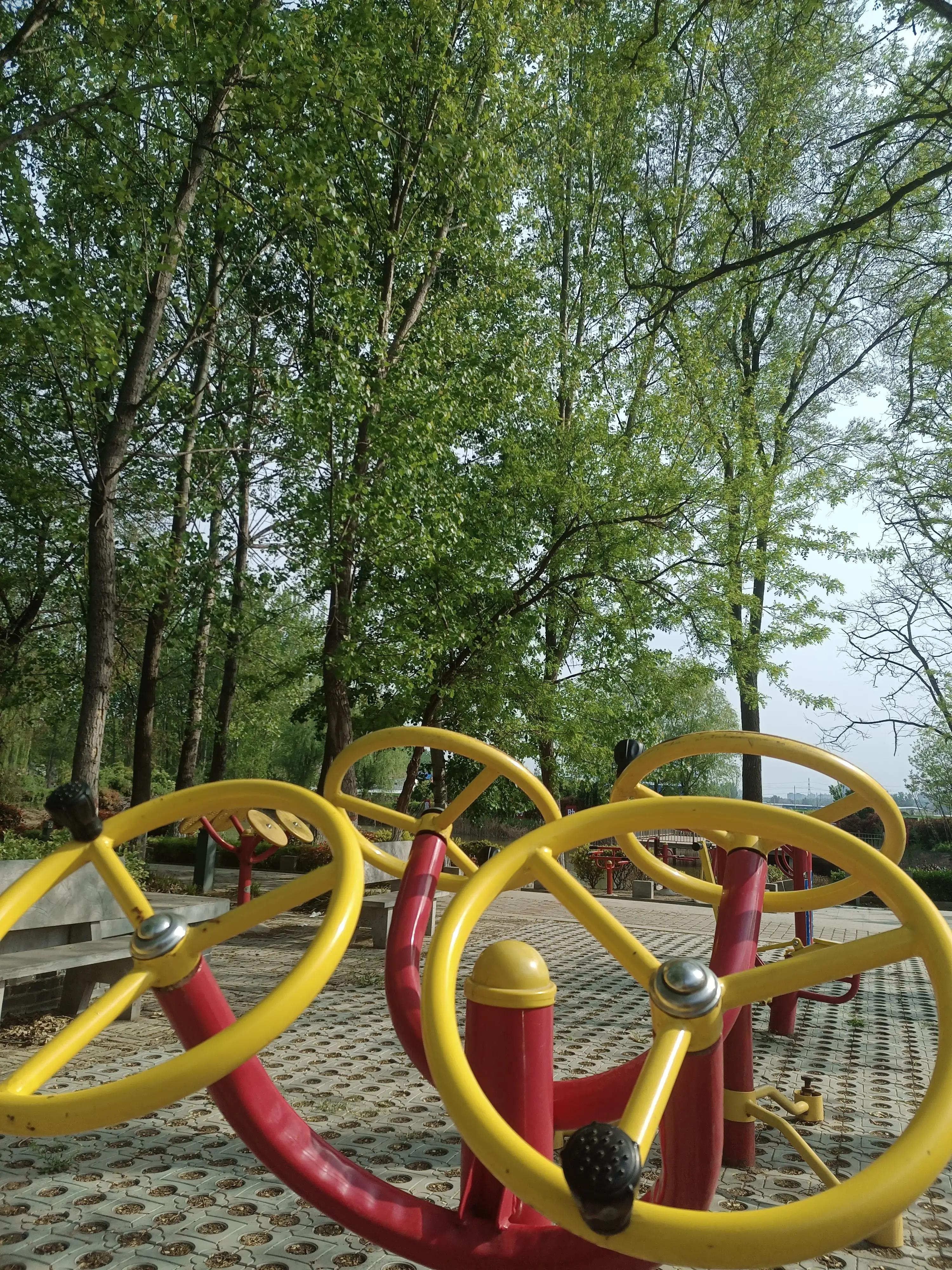 闲来无事荡秋千视频,山中荡秋千