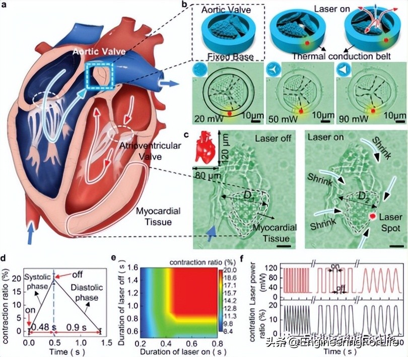 afm激光,afm机床是国产么