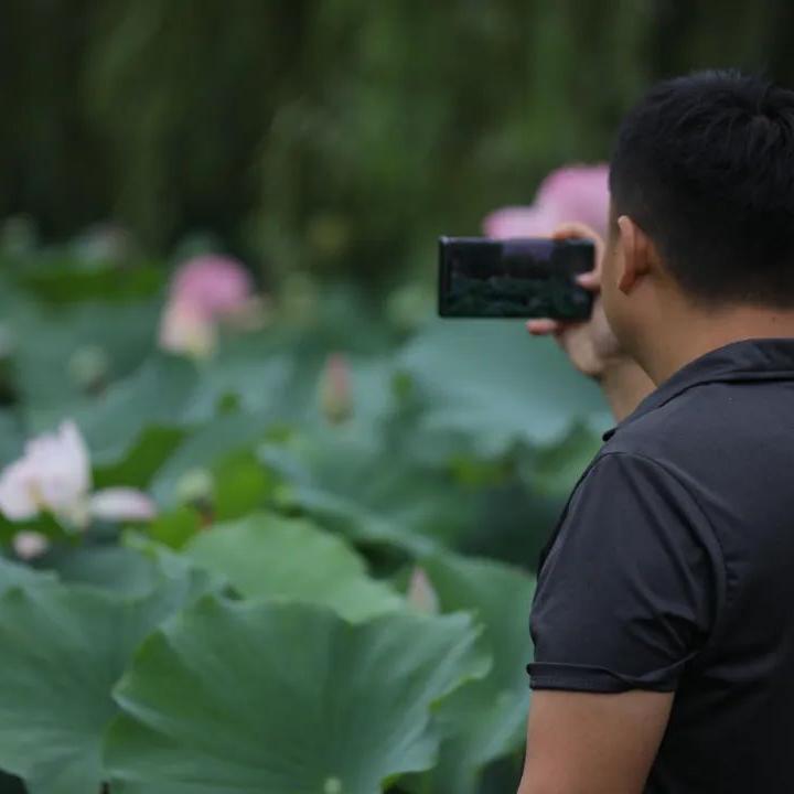 荷你有约环创,荷你有约完整视频