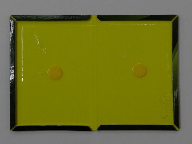 粘鼠板能把老鼠彻底消灭吗,为什么粘鼠板能把老鼠弄死