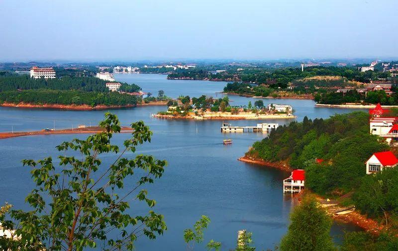 浮游植物增加会水质富营养化吗,浮游植物对水体起哪些作用